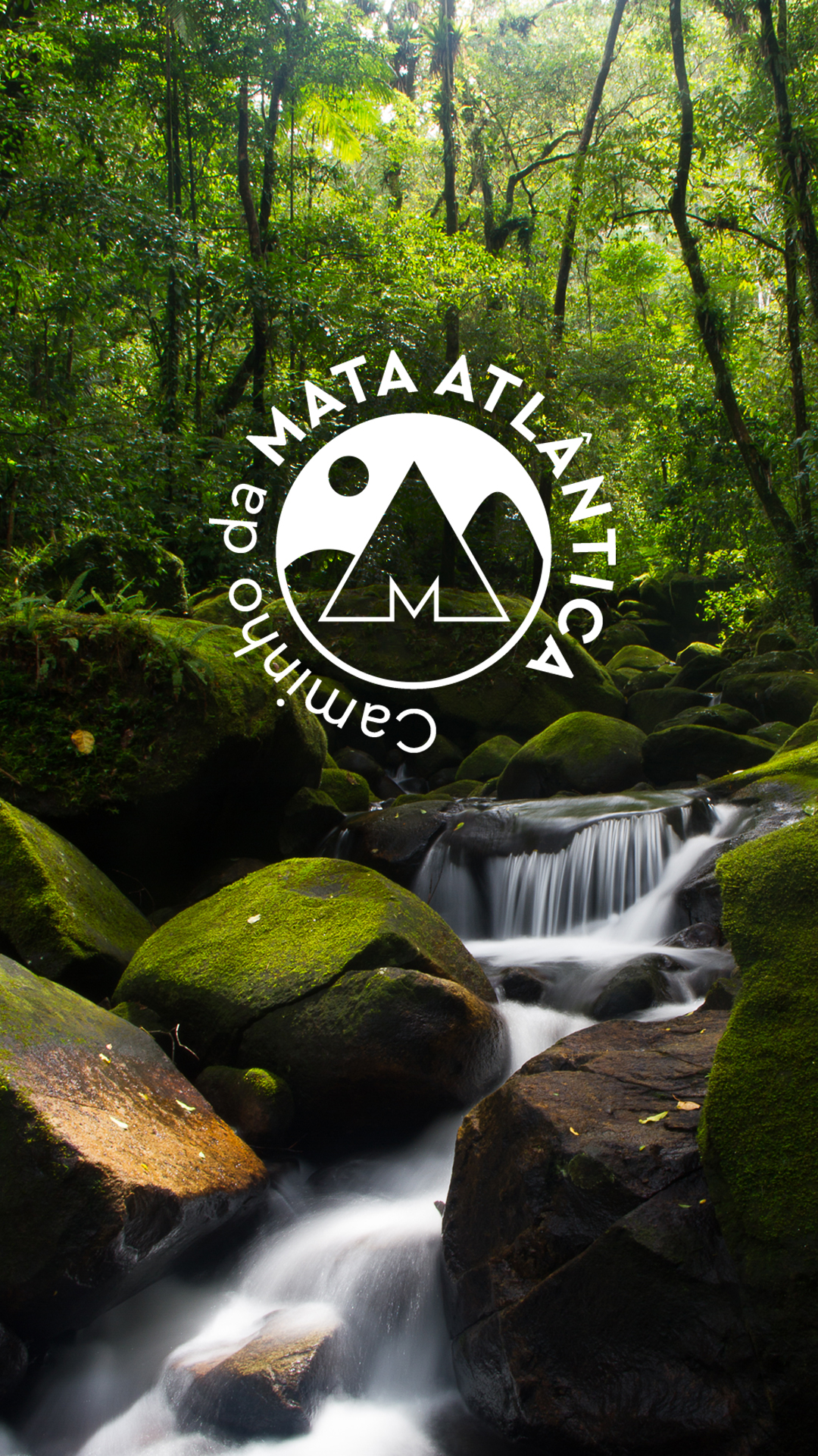 Caminho da Mata Atlântica: A Maior Trilha do Brasil Conecta Conservação e Turismo Sustentável