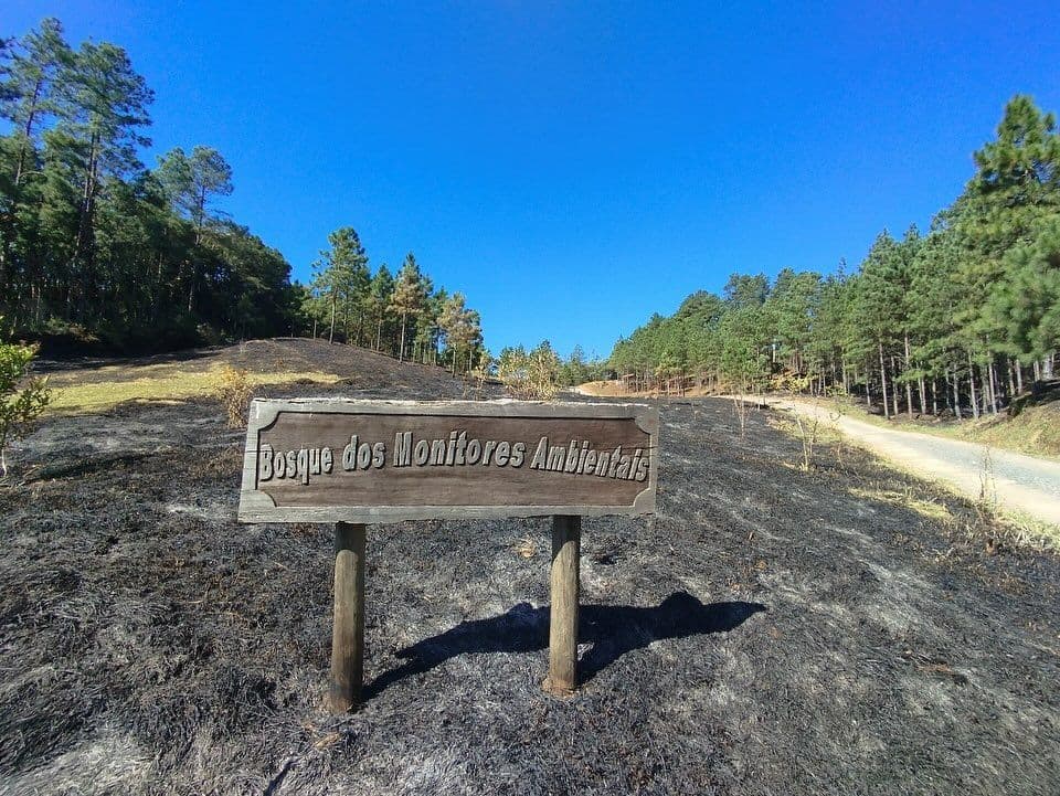 Prefeitura de Tapiraí e Comunidade Repudiam Incêndio Criminoso no Mirante Serra Verde