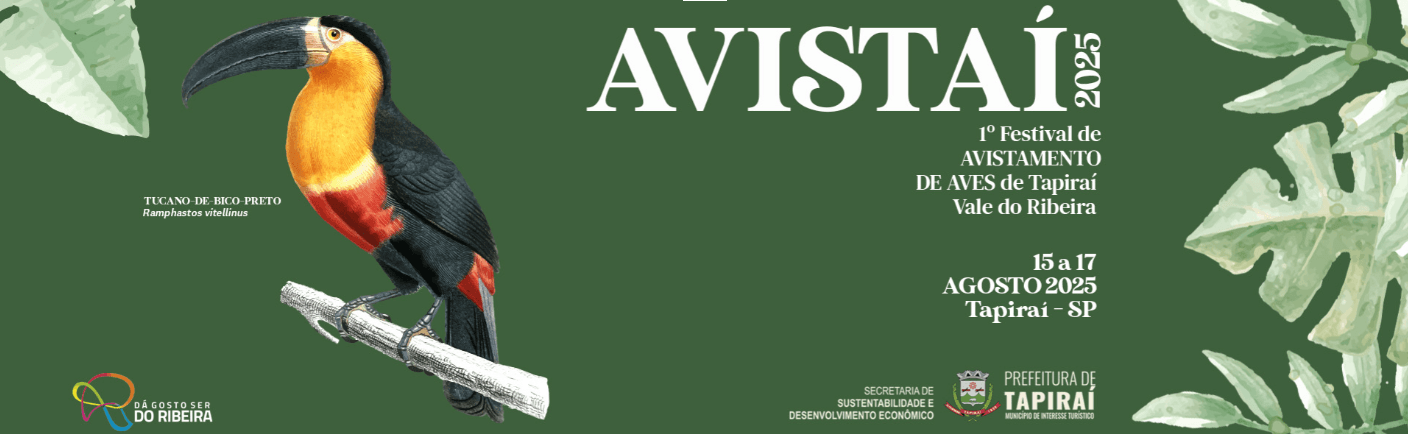 Avistaí: Como a Paixão por Aves Está Redesenhando o Futuro de Tapiraí